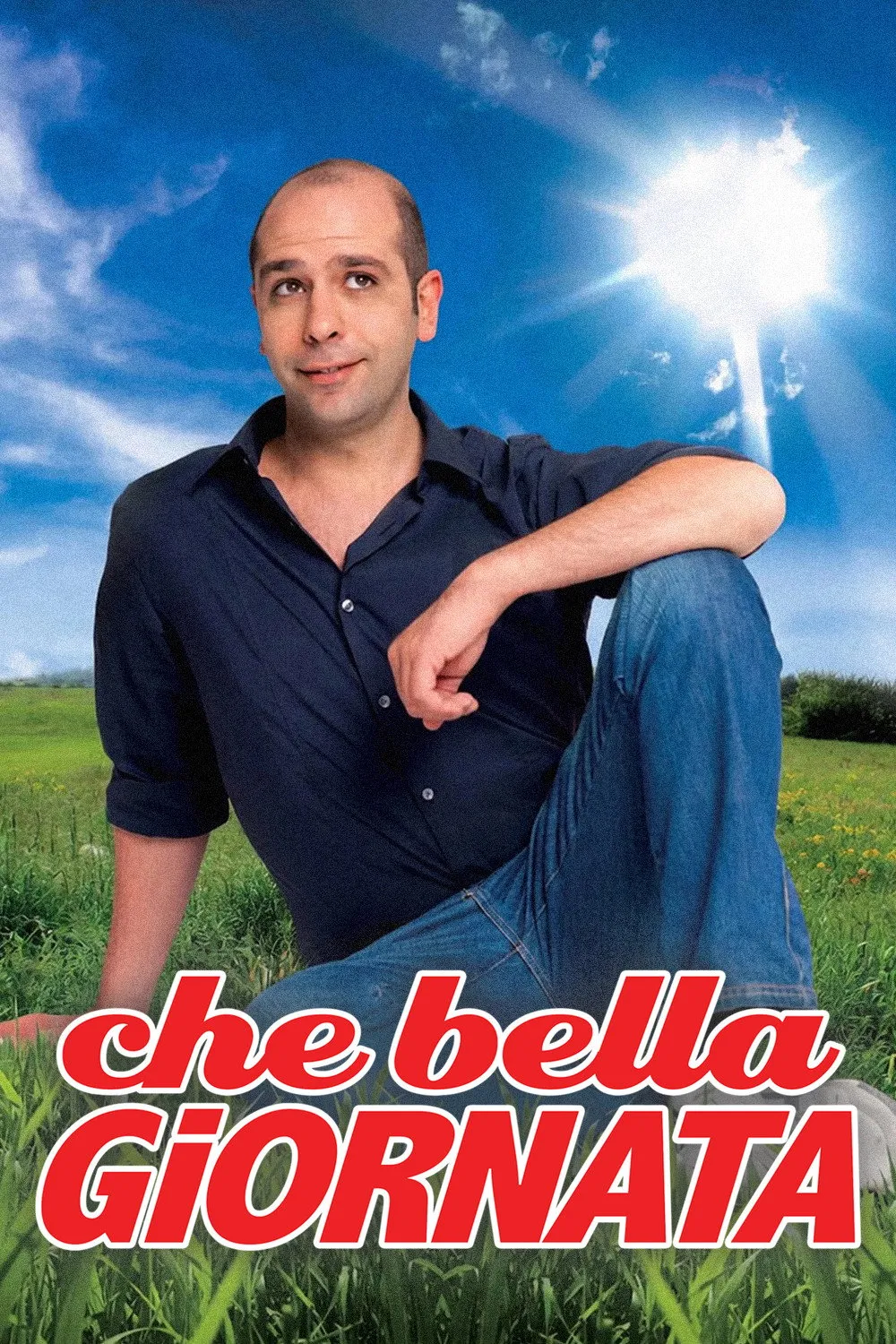 Che bella giornata (2011)